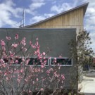 いろは苑が厚木で作ったお庭